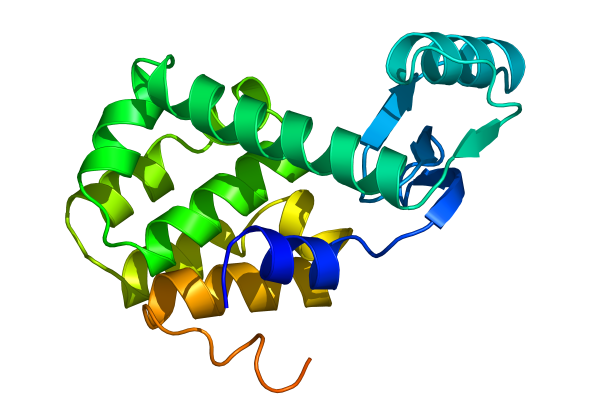 Raytraced Lysozyme structure from the tutorial, created with Pymol